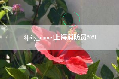 迪庆上海消防员2021
