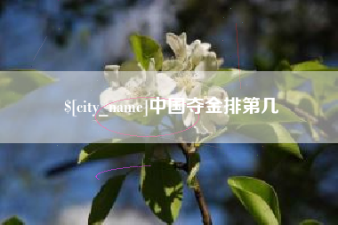 迪庆中国夺金排第几