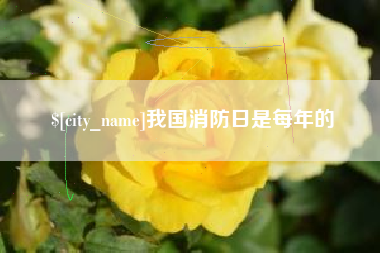 迪庆我国消防日是每年的