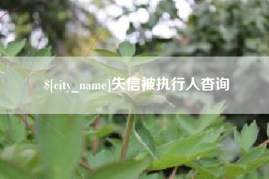 迪庆失信被执行人杳询