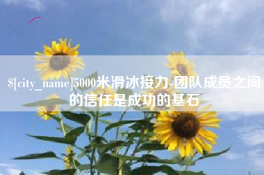 迪庆5000米滑冰接力-团队成员之间的信任是成功的基石