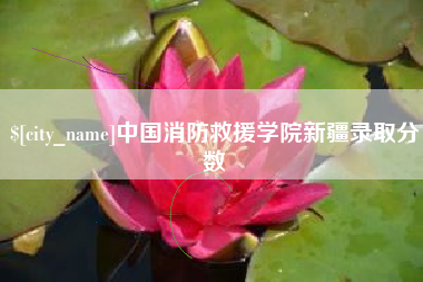 迪庆中国消防救援学院新疆录取分数