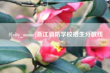 迪庆浙江消防学校招生分数线