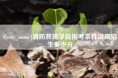 迪庆消防救援学院报考条件湖南招生多少分