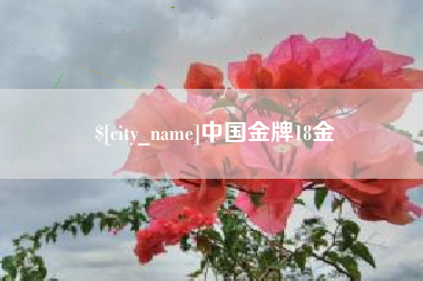 迪庆中国金牌18金
