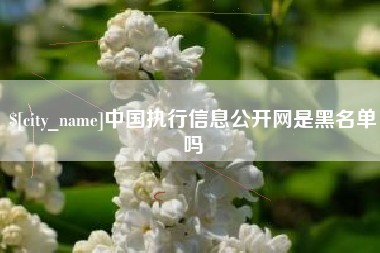 迪庆中国执行信息公开网是黑名单吗