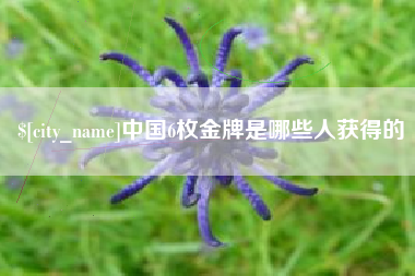 迪庆中国6枚金牌是哪些人获得的