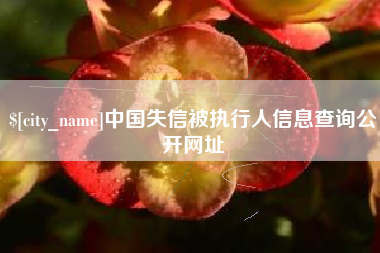 迪庆中国失信被执行人信息查询公开网址
