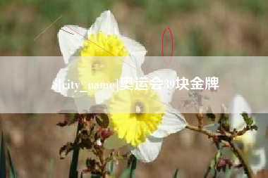 迪庆奥运会39块金牌
