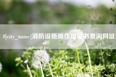 迪庆消防设施操作员证书查询网址
