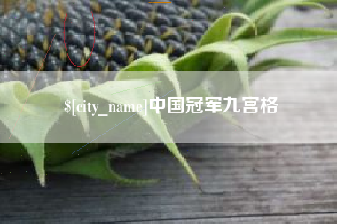 迪庆中国冠军九宫格