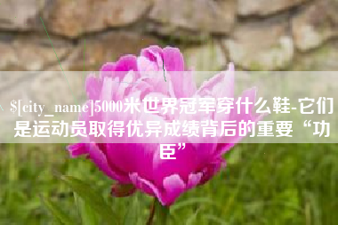 迪庆5000米世界冠军穿什么鞋-它们是运动员取得优异成绩背后的重要“功臣”