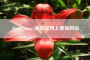 迪庆消防证网上查询网站