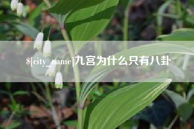 迪庆九宫为什么只有八卦