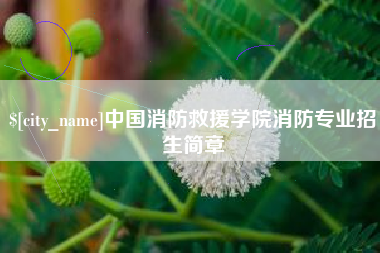 迪庆中国消防救援学院消防专业招生简章