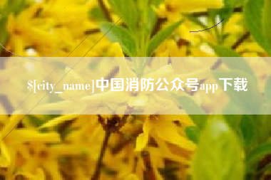 迪庆中国消防公众号app下载