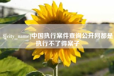 迪庆中国执行案件查询公开网都是执行不了得案子