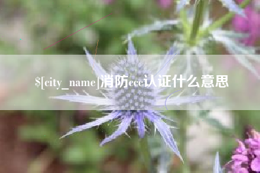 迪庆消防ccc认证什么意思