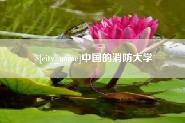 迪庆中国的消防大学