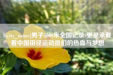 迪庆男子5000米全国记录-更是承载着中国田径运动员们的热血与梦想