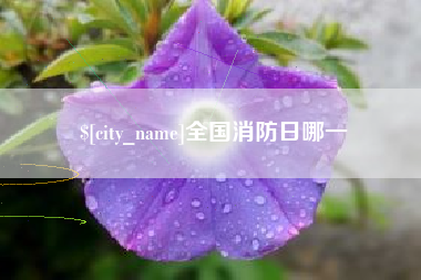迪庆全国消防日哪一