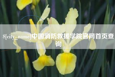 迪庆中国消防救援学院官网首页查询