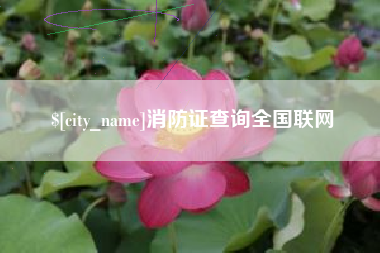 迪庆消防证查询全国联网