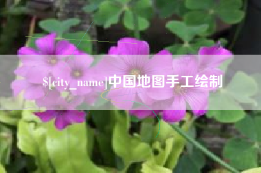 迪庆中国地图手工绘制