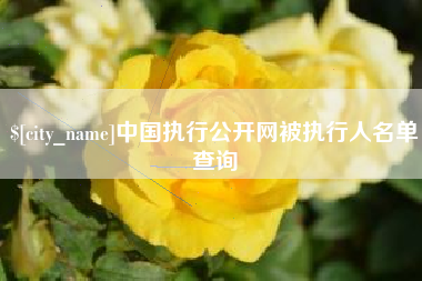 迪庆中国执行公开网被执行人名单查询