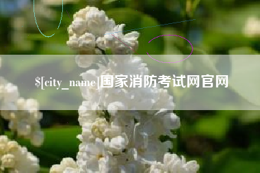 迪庆国家消防考试网官网