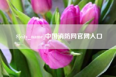 迪庆中国消防网官网入口
