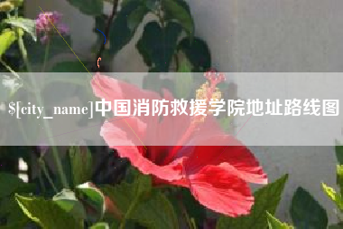 迪庆中国消防救援学院地址路线图