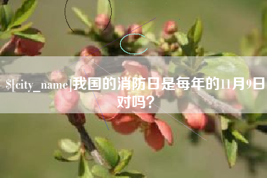 迪庆我国的消防日是每年的11月9日对吗？