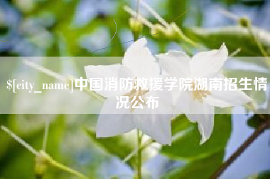 迪庆中国消防救援学院湖南招生情况公布