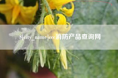 迪庆ccc消防产品查询网