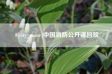 迪庆中国消防公开课回放