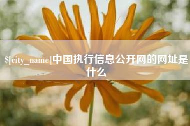 迪庆中国执行信息公开网的网址是什么