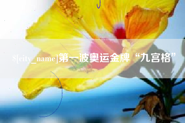 迪庆第一波奥运金牌“九宫格”
