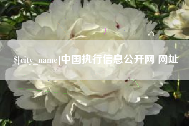 迪庆中国执行信息公开网 网址