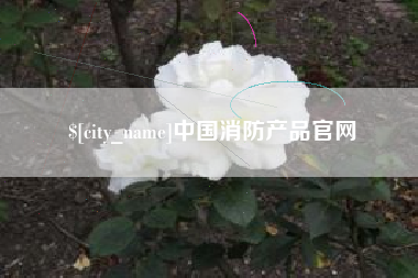 迪庆中国消防产品官网