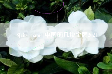 迪庆中国的几块金牌2021