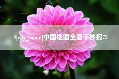 迪庆中国地图全图手抄报75