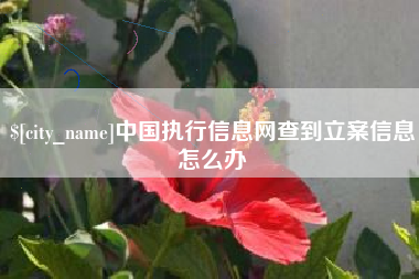迪庆中国执行信息网查到立案信息怎么办