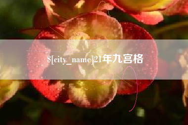 迪庆21年九宫格