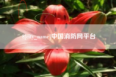 迪庆中国消防网平台