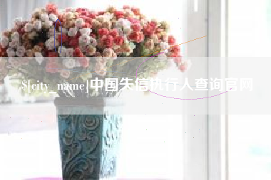 迪庆中国失信执行人查询官网