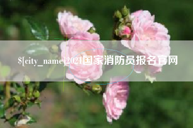 迪庆2021国家消防员报名官网