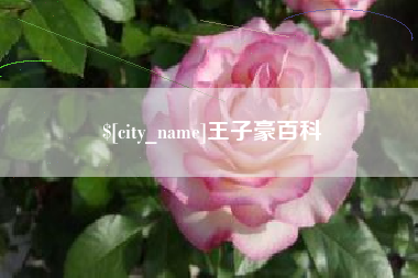 迪庆王子豪百科