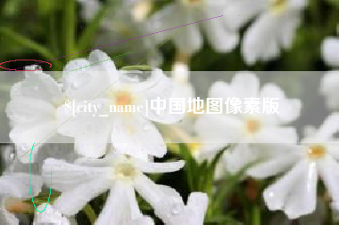 迪庆中国地图像素版