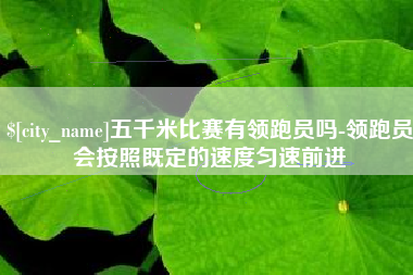 迪庆五千米比赛有领跑员吗-领跑员会按照既定的速度匀速前进